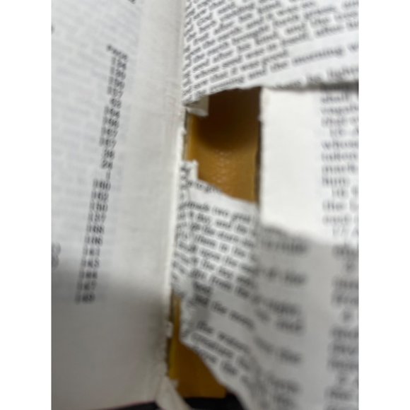 holy bible dictionary concordance king james version book black English READ - Picture 3 of 6